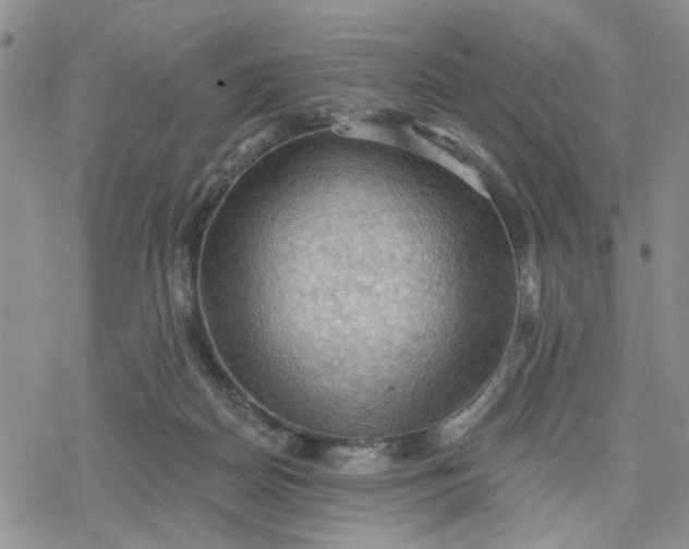 X0000078230170200611171442