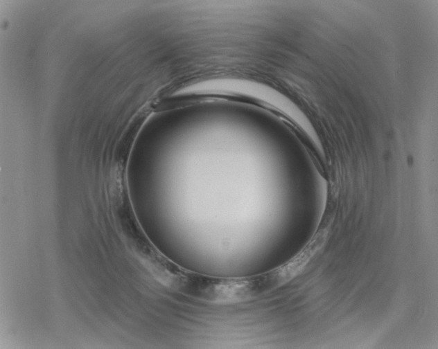 X0000078230172200611171442