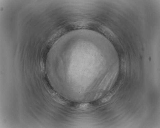 X0000078230173200611171442