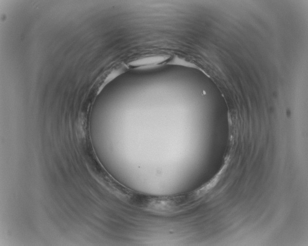 X0000078230174200611171442