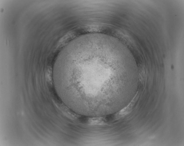 X0000078230175200611171443