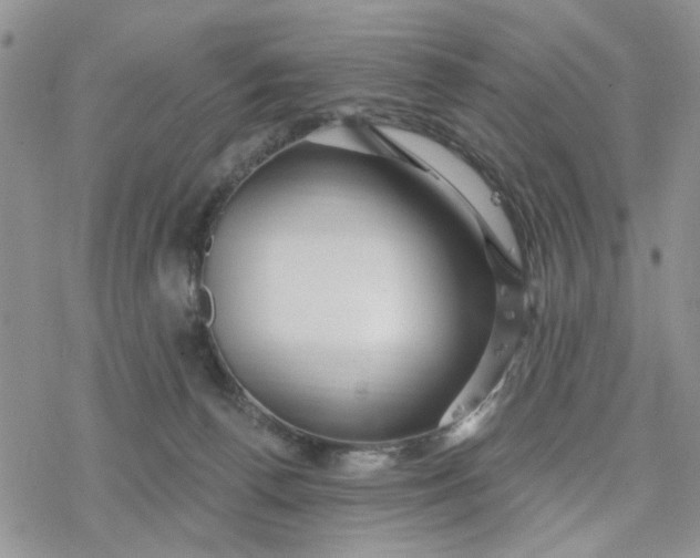 X0000078230176200611171443