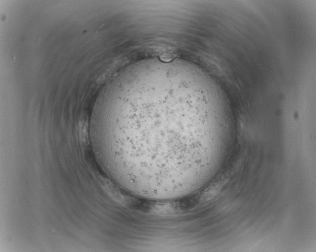 X0000078230177200611171443