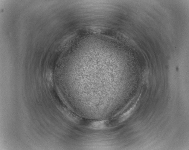 X0000078230178200611171443