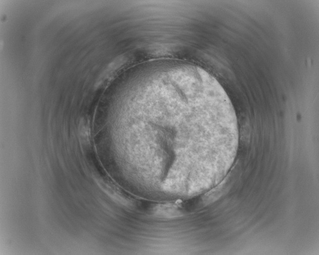 X0000078230179200611171443