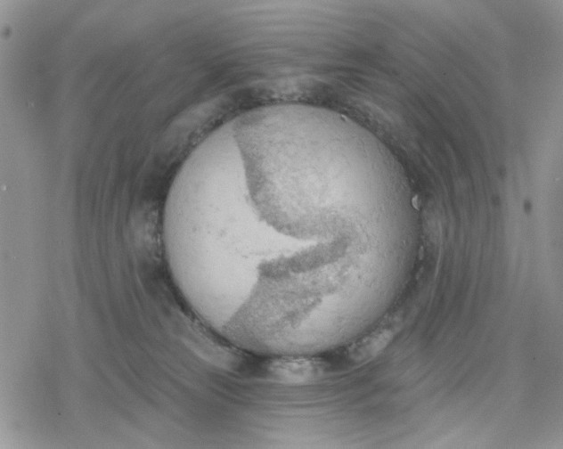 X0000078230181200611171443