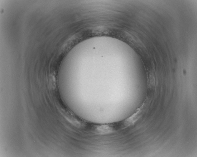 X0000078230183200611171443