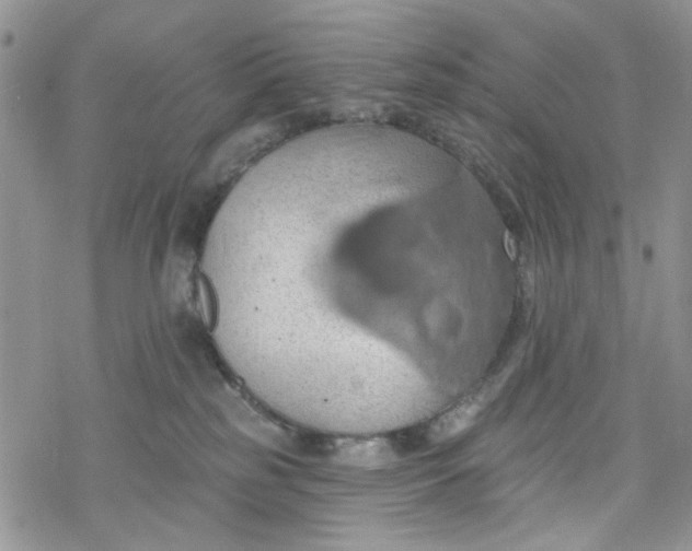 X0000078230185200611171443