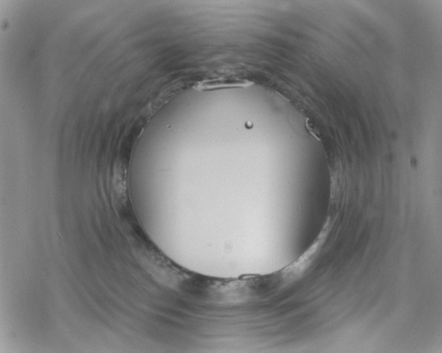 X0000078230186200611171443