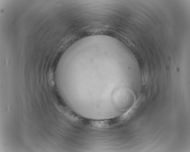 X0000078230187200611171443