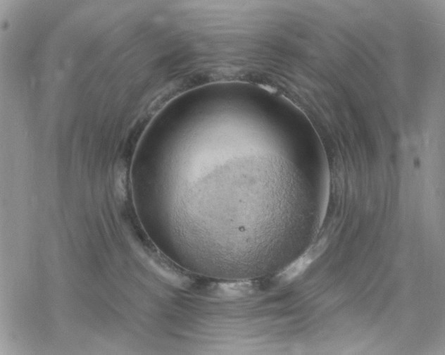 X0000078230188200611171443