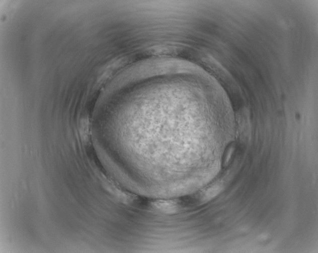 X0000078230189200611171443