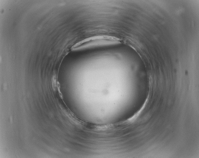 X0000078230190200611171443