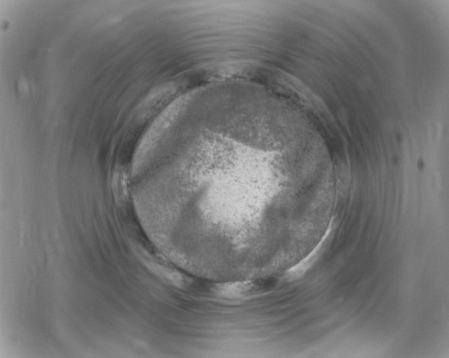 X0000078230191200611171443