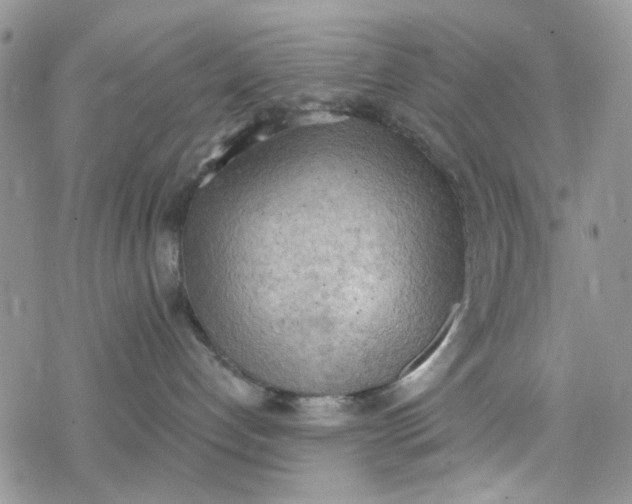 X0000078230192200611171443