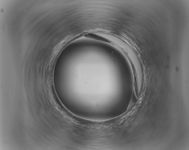 X0000078230193200611171442