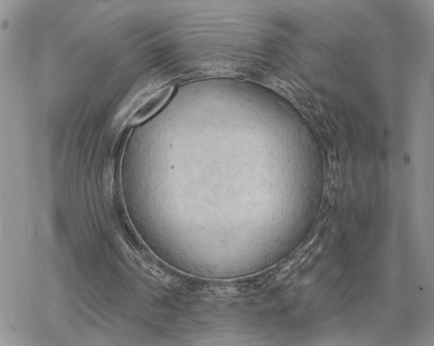 X0000078230194200611171442