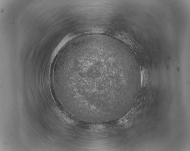 X0000078230195200611171442