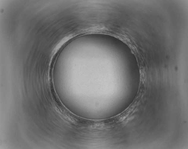 X0000078230196200611171442