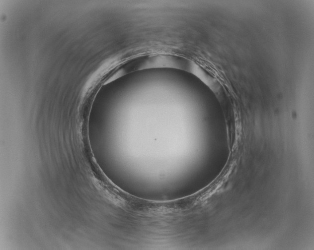 X0000078230197200611171442