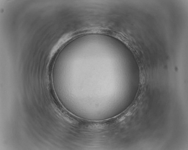 X0000078230198200611171442