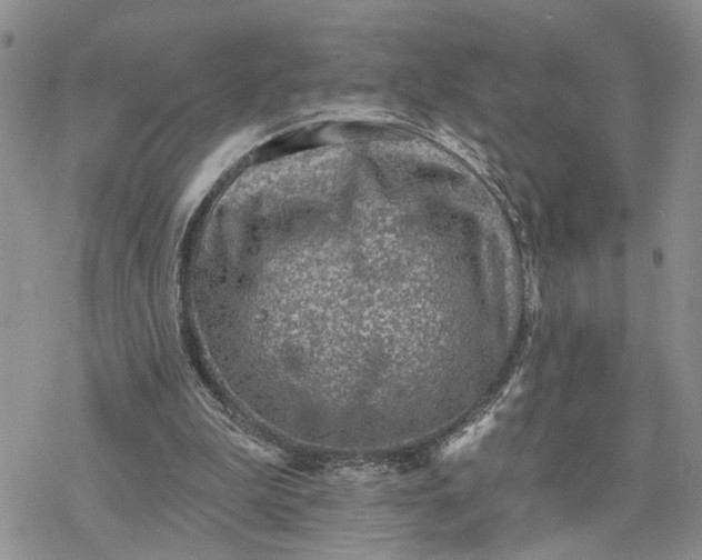 X0000078230199200611171442