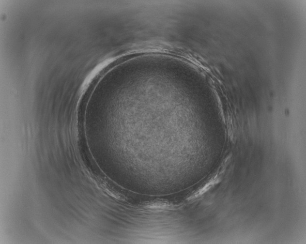 X0000078230200200611171442