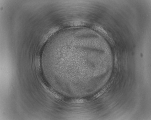 X0000078230202200611171442