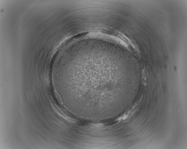 X0000078230203200611171442