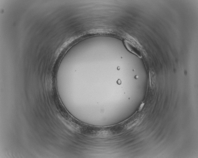 X0000078230204200611171442