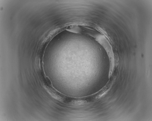 X0000078230205200611171442