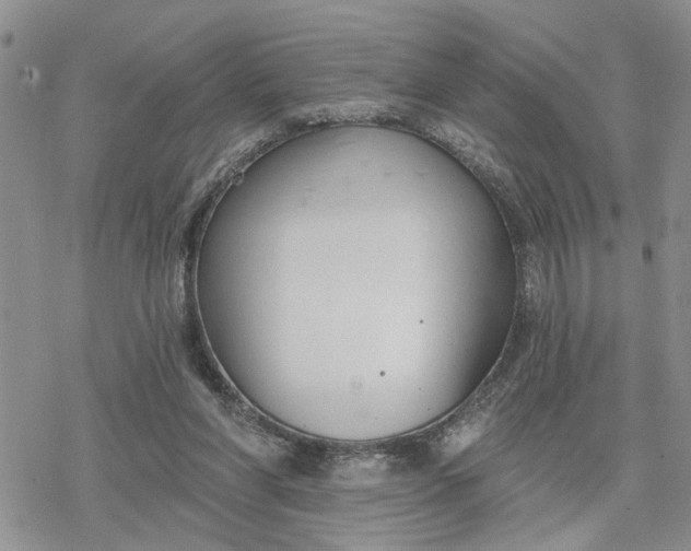 X0000078230206200611171442