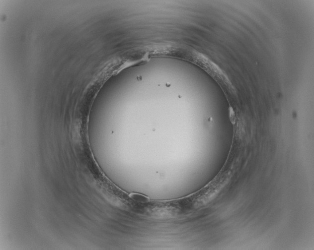 X0000078230209200611171442