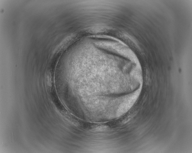 X0000078230210200611171442