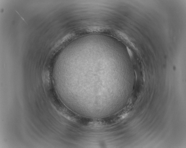 X0000078230211200611171442