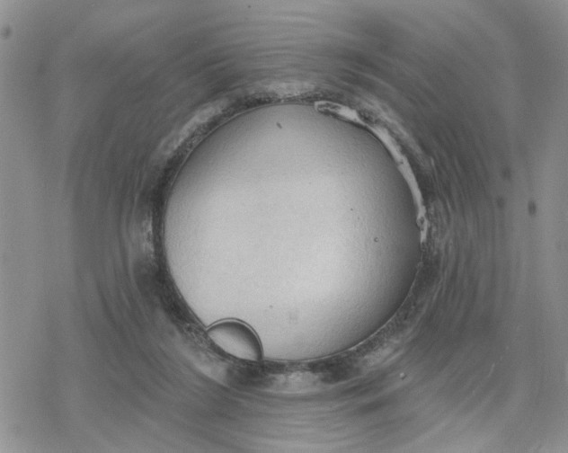 X0000078230212200611171442