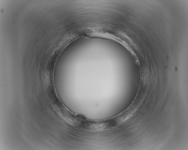 X0000078230213200611171442