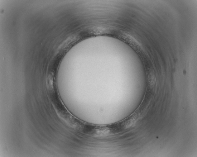 X0000078230214200611171442