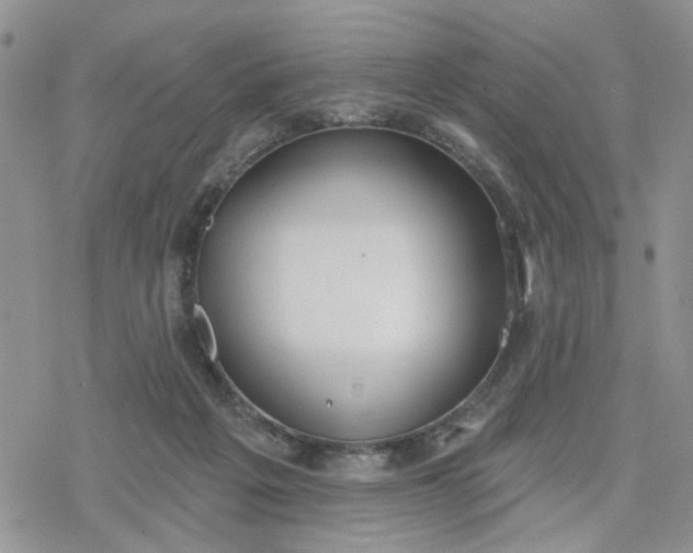 X0000078230217200611171442