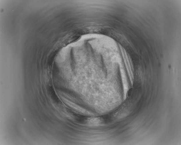 X0000078230218200611171442