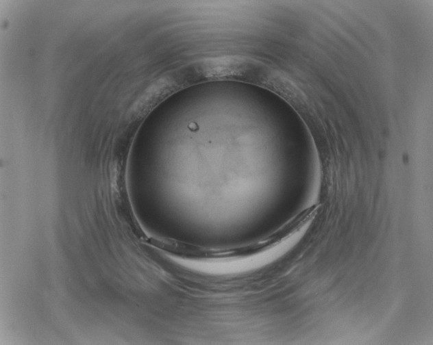 X0000078230219200611171442