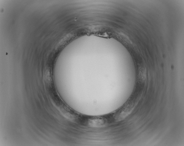 X0000078230220200611171442