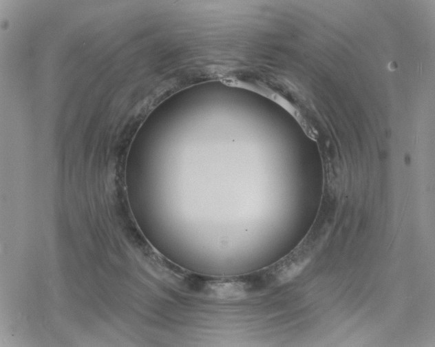 X0000078230221200611171442