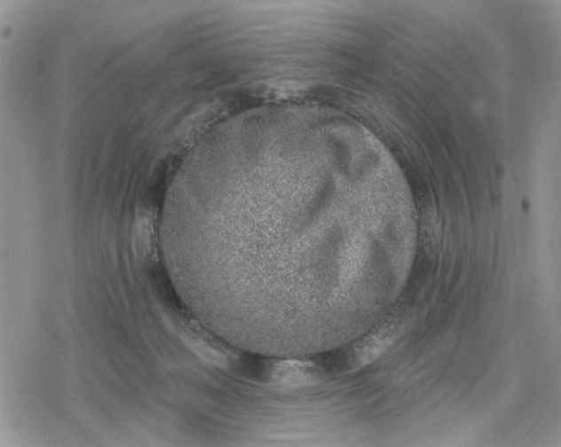 X0000078230222200611171442