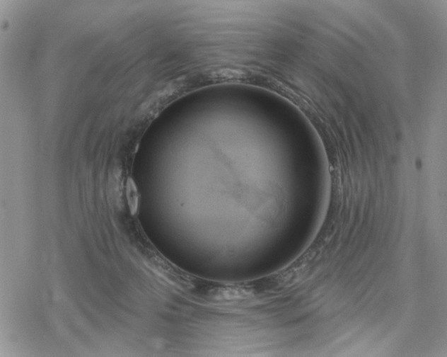 X0000078230223200611171442