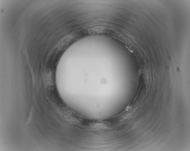 X0000078230224200611171441