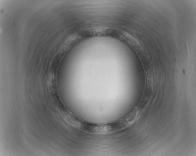 X0000078230225200611171441