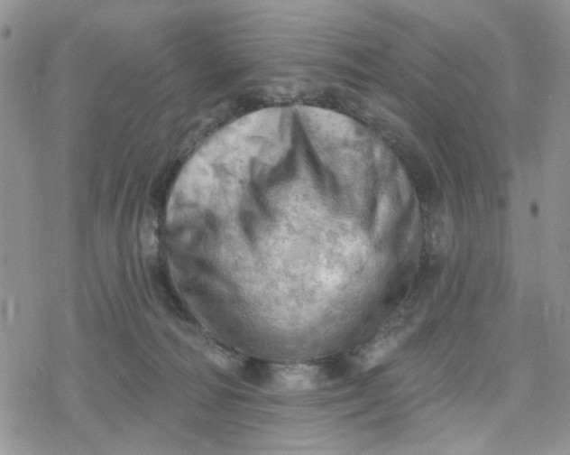 X0000078230226200611171441