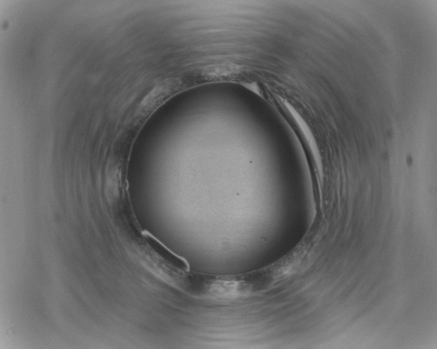 X0000078230227200611171441