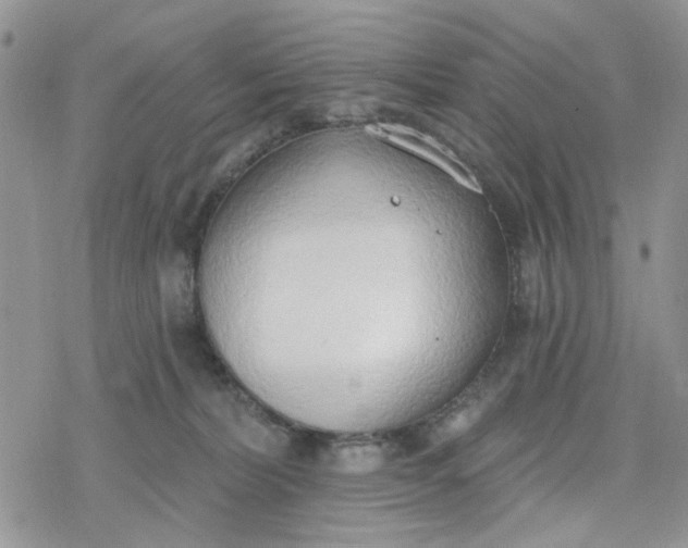 X0000078230228200611171441